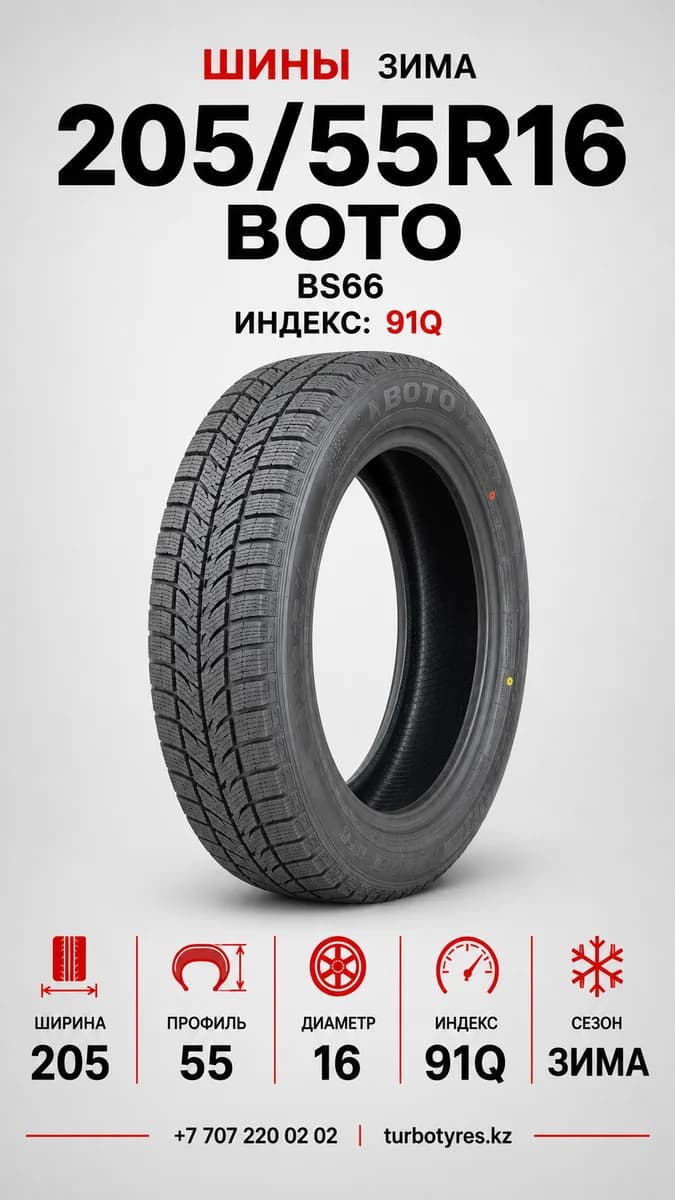 Boto BOTO/ 205/55R16 91Q BS66 205/55 R16